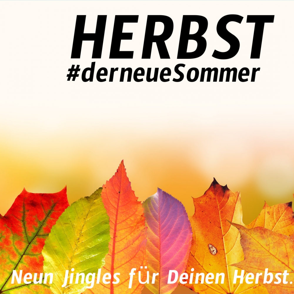 Bild 1 von 9 bunte Herbstjingles  / (Bitte auswählen:) Ich möchte die Jingles mit Wunschnamen