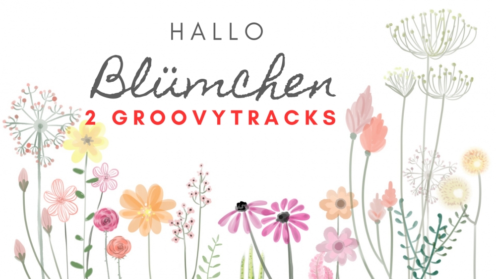 Bild 1 von Nicht das Blümchen - 2 Tracks  / (Bitte wählen) Bitte nur neutral